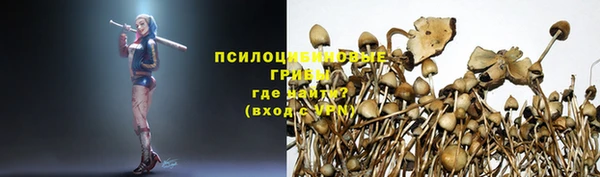 а пвп мука Баксан